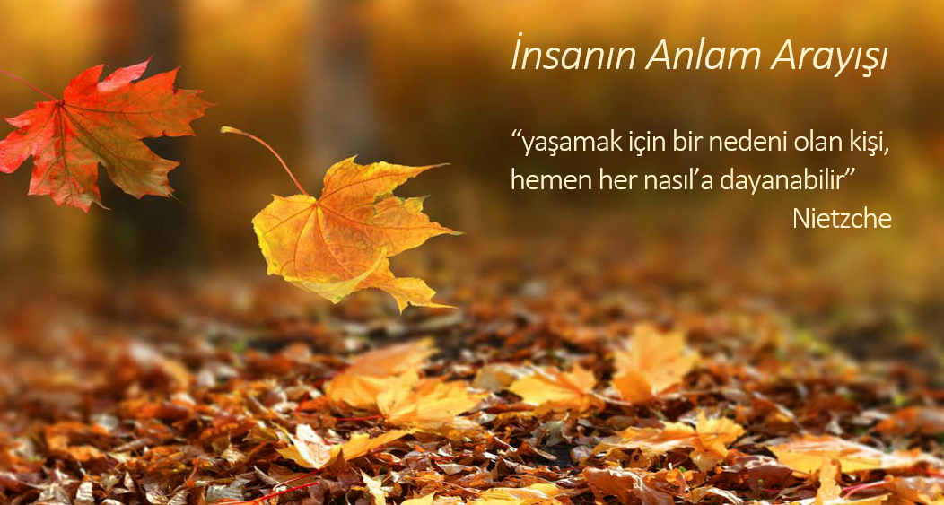 İnsanın Anlam Arayışı